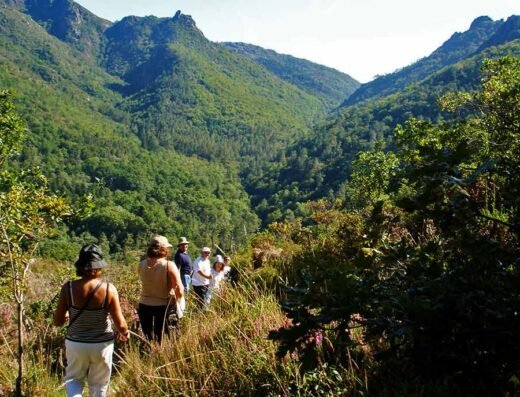 Hikers walking through the landscape of Gerês